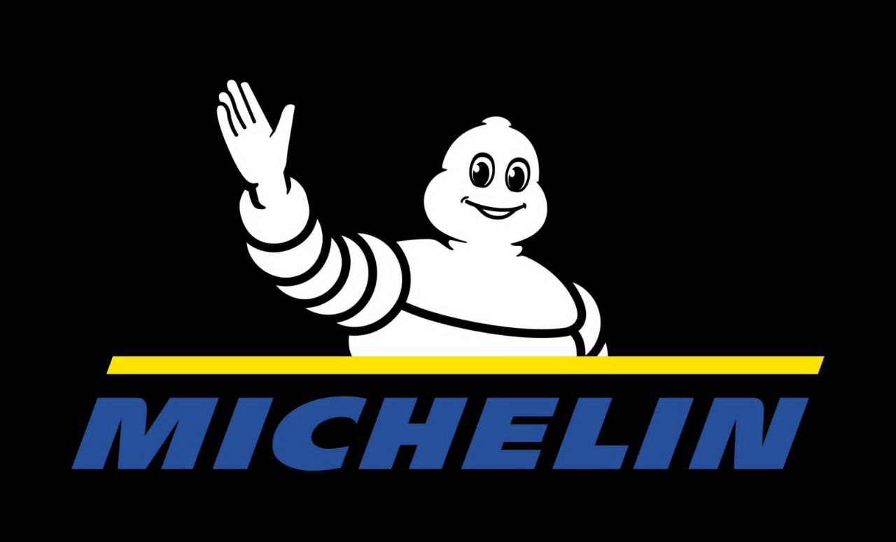 Key Features of Michelin Tires:
